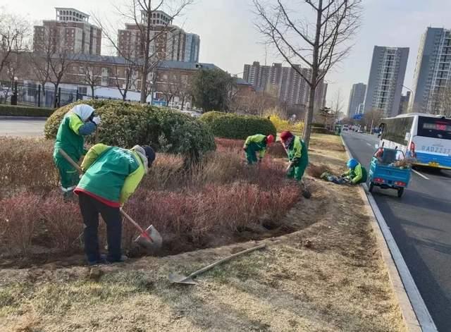 争分夺秒，全力冲刺，确保绿地景观优美良好