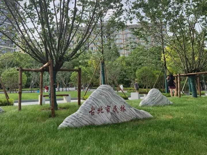 赞！长宁这三座地铁站周边的绿化景观焕新颜
