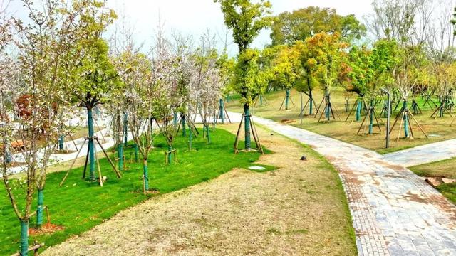 黄冈市三台河绿化景观工程交付使用