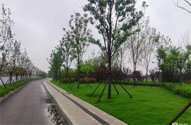 济南历城区道路绿化品质和功能成果显著