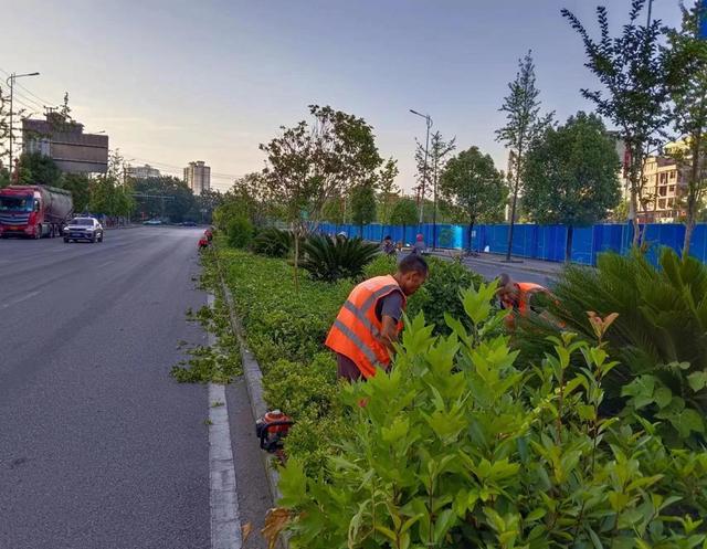 三穗：精细修剪绿化带 “靓”化道路风景线