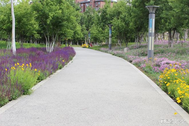 想打造美丽城市？学习这些城市绿化道路植物选择原则！