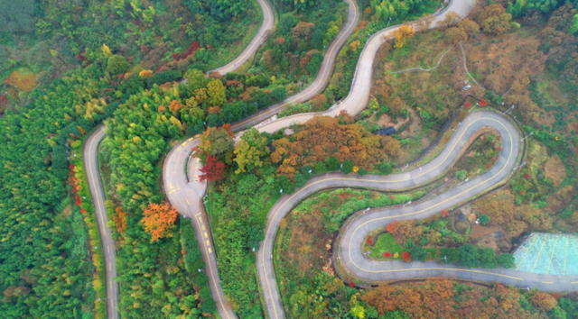 浙江绿化美化精品道路及特色精品道路上新！