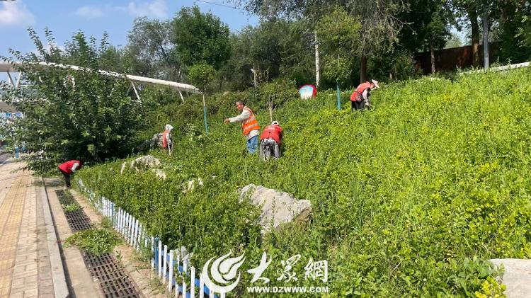 德州锦绣川景区：“市民园长”积极献言献策，助推绿化精细化管护水平再提升