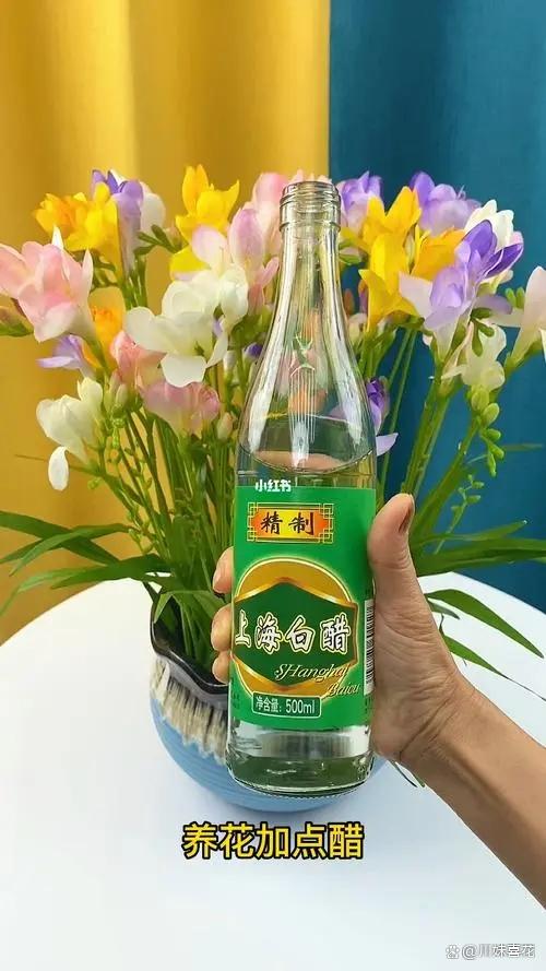厨房里常见的5种小东西，用来养花嘎嘎好，不黄叶不烂根