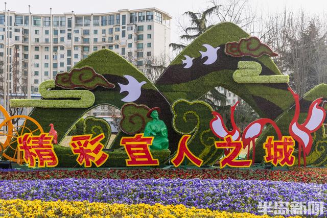 花卉景观扮靓街头