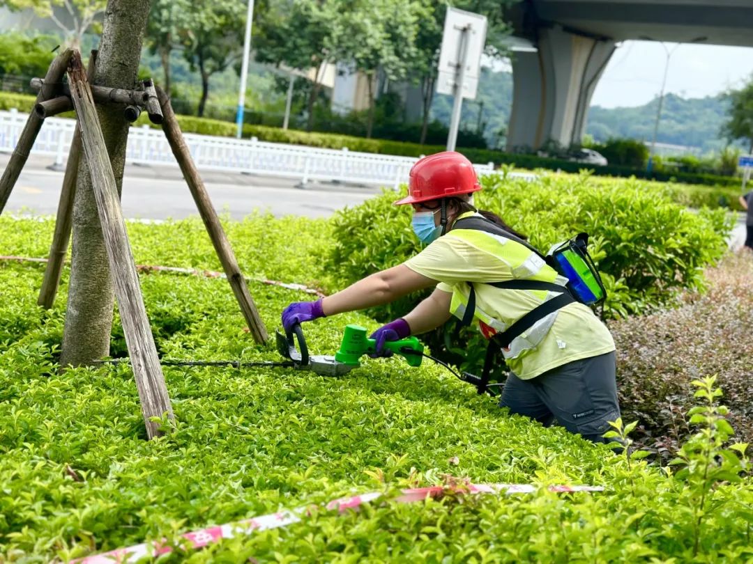 绿化技能大比拼！ 这里有一场园林绿化养护技能竞赛