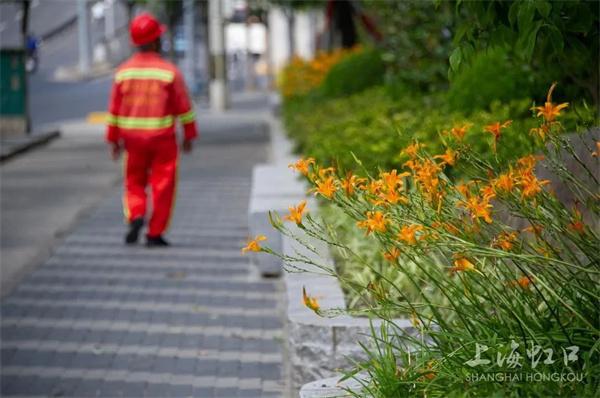 虹口区再添一条绿化特色道路