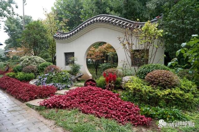 三门峡：13.7万盆鲜花装扮城市迎“双节”
