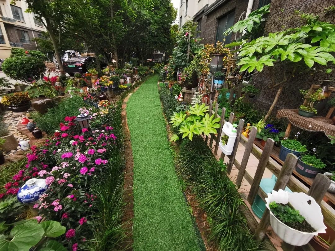 太赞了！小区绿化带变身景观小院，颜值UP↑