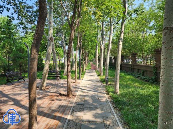 三百米见绿，五百米见园！天津港保税区首批口袋公园建成投用