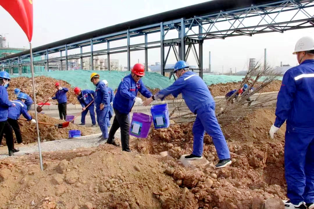 河北磁县：“六环绿化”助力森林城市建设