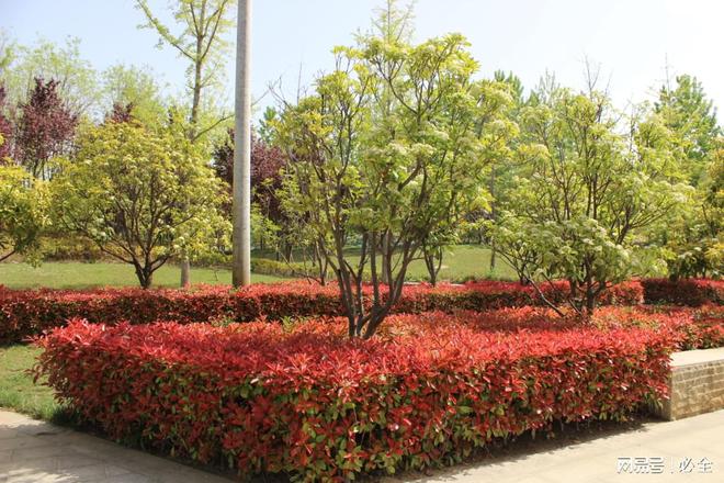 庭院植物品种栽植配置和养护管理措施