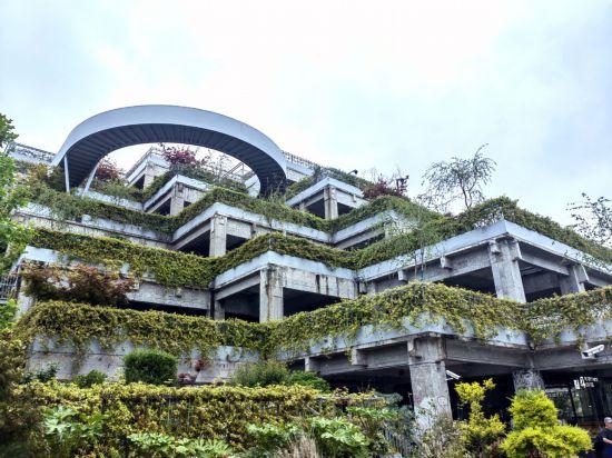 上海公园城市建设中的立体绿化，你知道哪些？