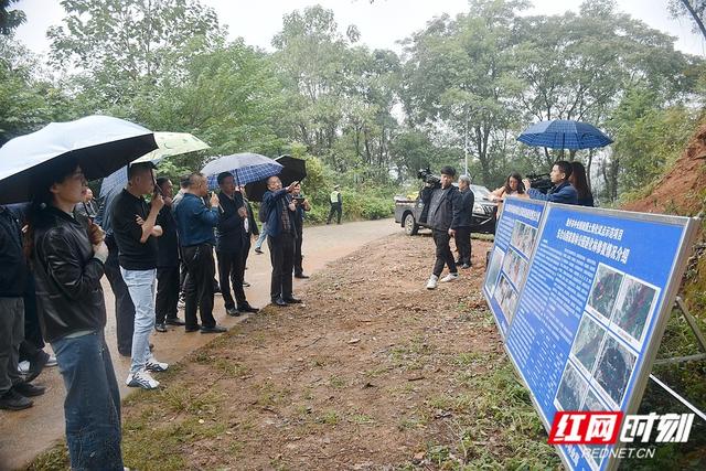 湘潭市召开会议部署推进国土绿化试点示范项目建设与森林防火相关工作