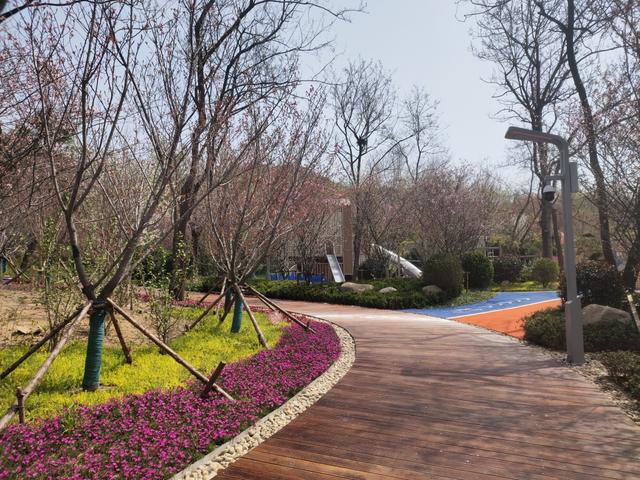 花韵缀城 园梦市南