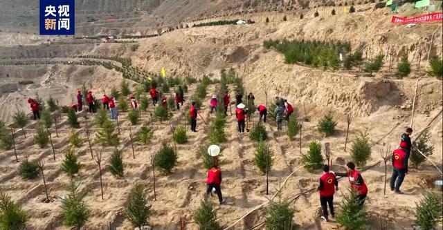 甘肃今年计划完成国土绿化面积超1500万亩