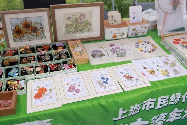 感受怡人绿意，“绿色大篷车”开进杨浦这里