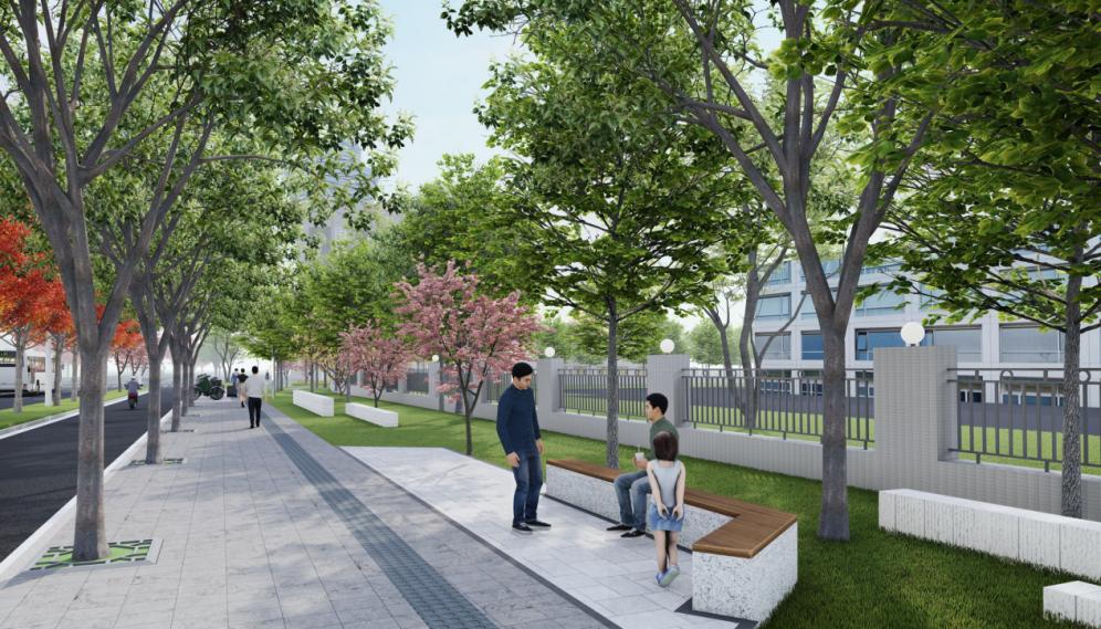 环城东路（东方美谷大道~大叶公路）景观提升工程施工公告