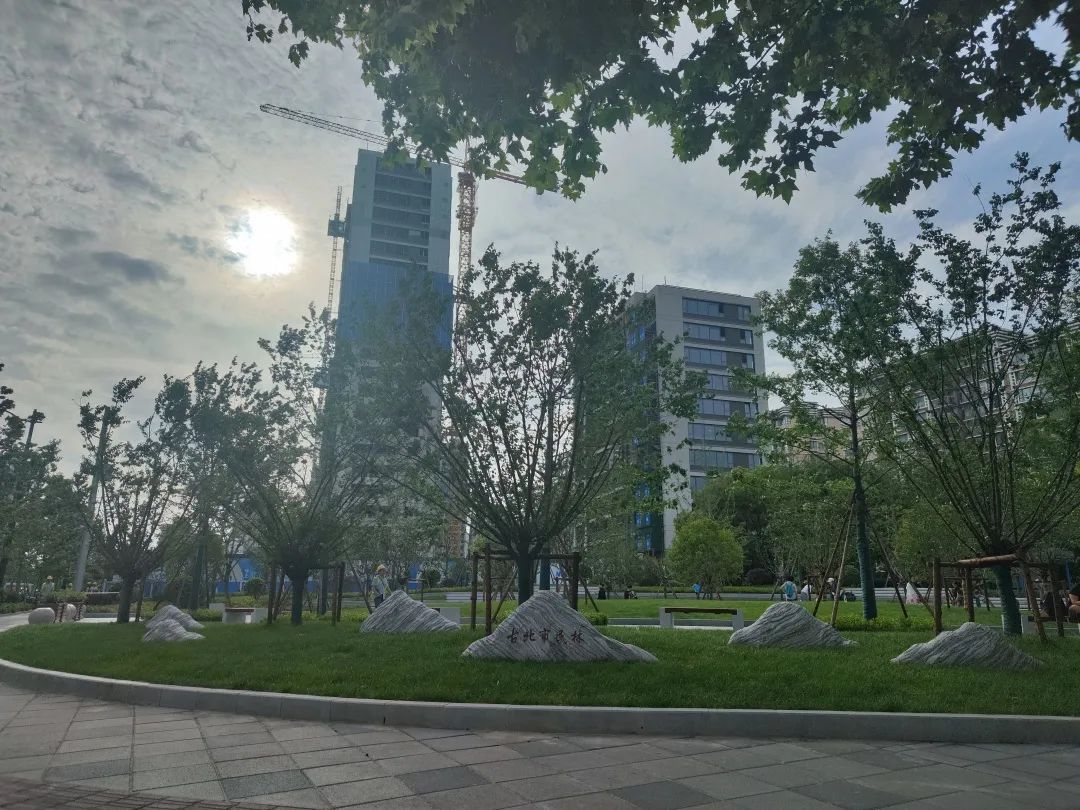 分享丨即将完工！一起坐上长宁这趟“公园列车”吧