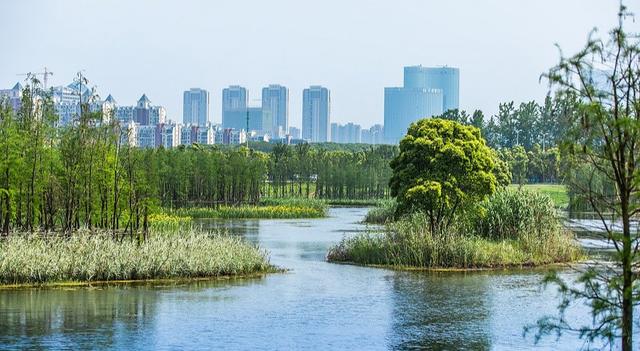 园林绿化养护主要工作 园林绿化养护主要工作