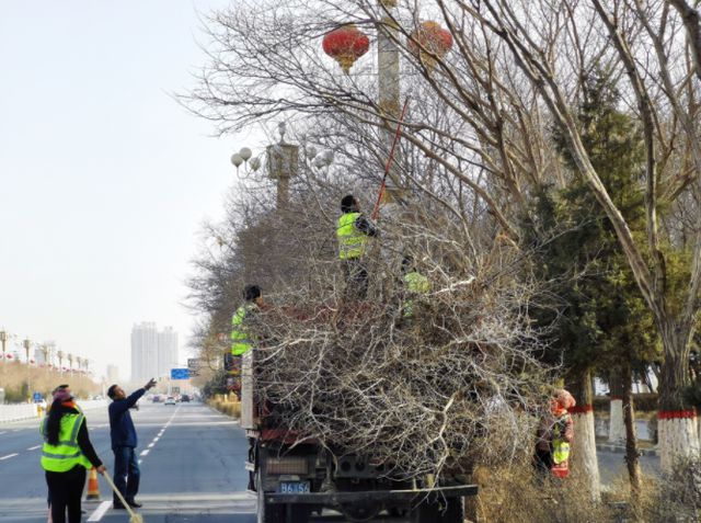 库尔勒：春季扮靓好时节 园林绿化修剪忙