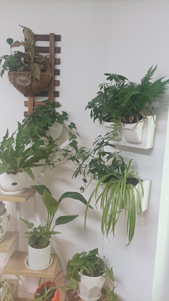 怎样设计阳台景观花园，自己动手这样做，让你家阳台变得更美