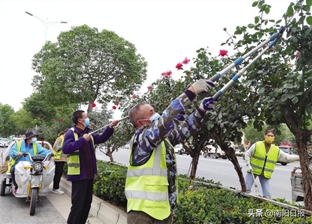 南阳市中心城区生态园林绿化掀起新高潮只为满城绿意浓