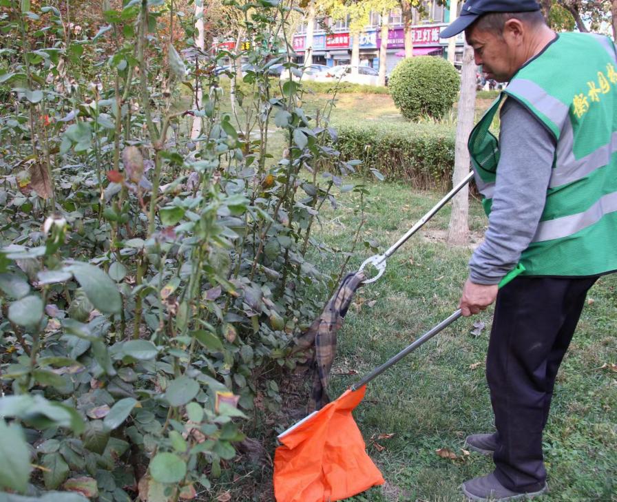 衡水市园林中心：下足“绣花功夫” 让绿化带“靓”起来