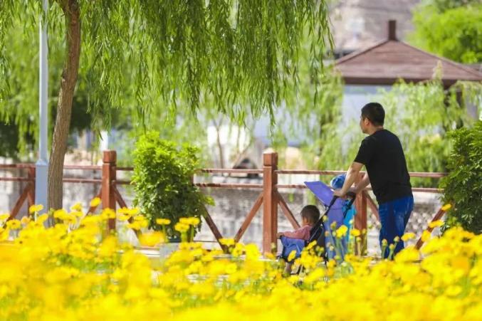 白银区以“千万工程”经验为指引 助力美丽乡村建设