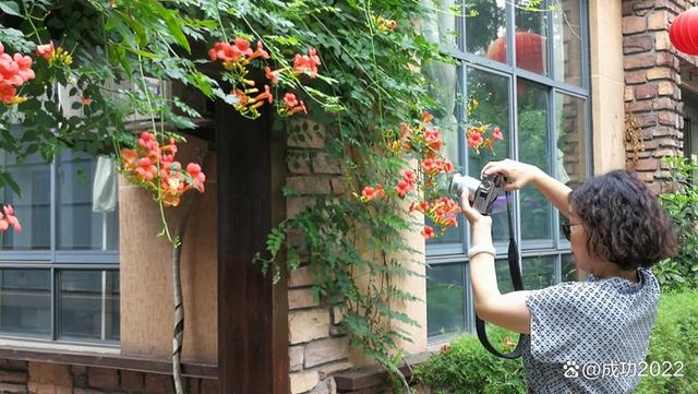 家乡美景风光秀：衡阳市南湖公园凌霄花绚丽绽放，灿烂夺目