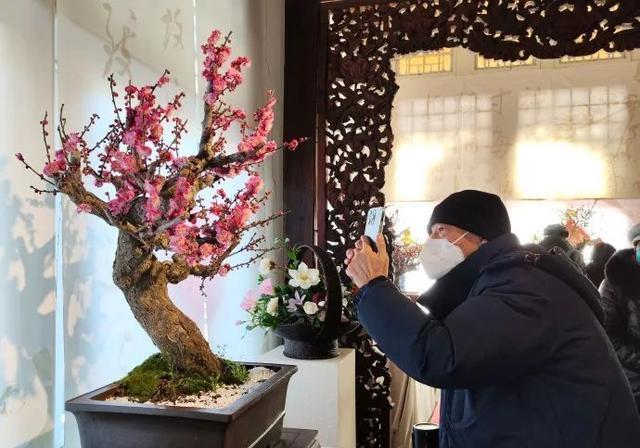 老人常说“家中有六花，不富还败家”，一辈辈传下来的俗语，要听