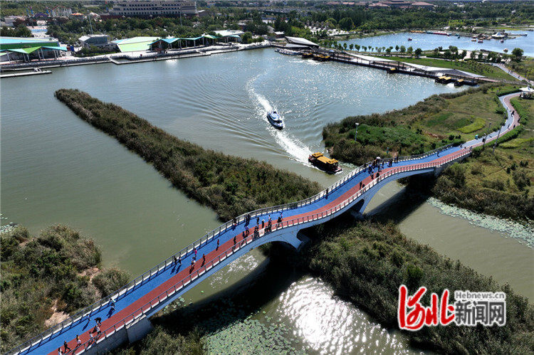 衡水推进城市园林绿化建设