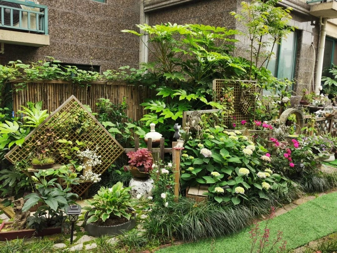 太赞了！小区绿化带变身景观小院，颜值UP↑