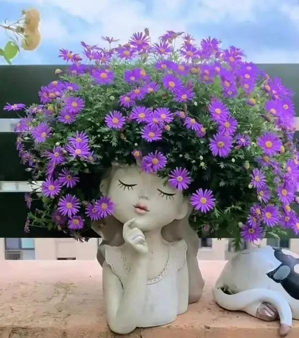 上海小姐姐用“娃娃花盆”养花，走红网络，网友：有趣又优雅