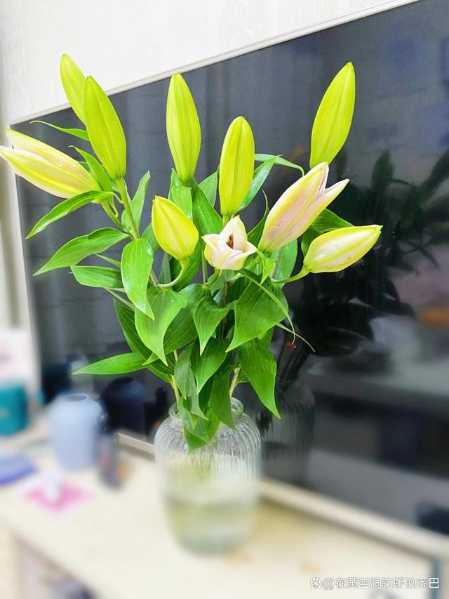 养花十年功，浇死分分钟，如何正确养好花？