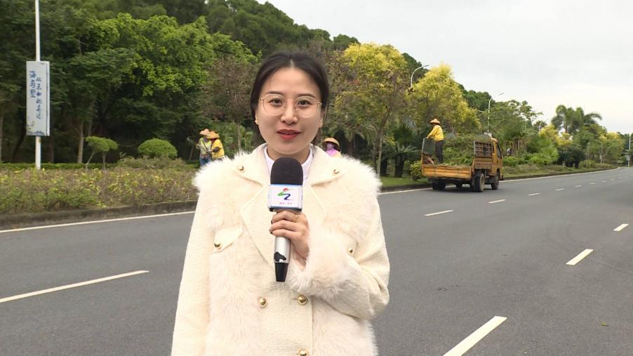 海陵：加强市政道路绿化管护 助力创建和美海岛