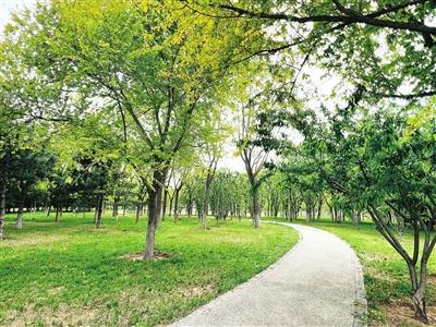 四季青镇拆除遗留建筑绿化空地再造风景线