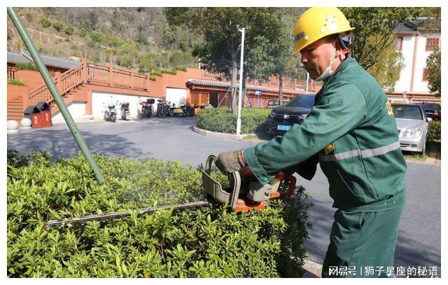 春日好时节 绿化养护“加速度”