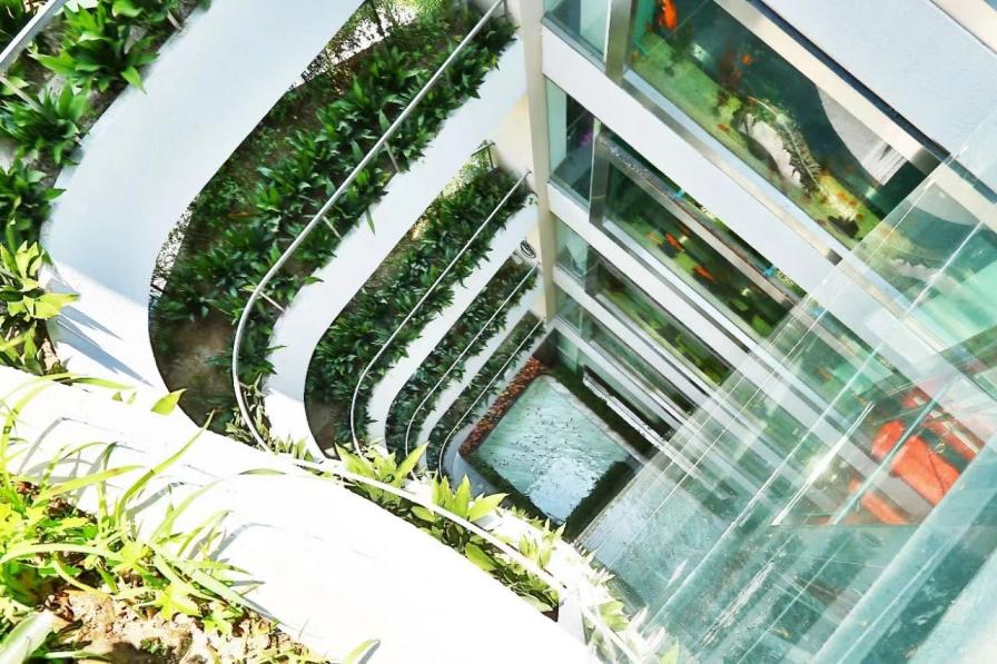 推深林长制工作，静安区建设首批单位林长队伍