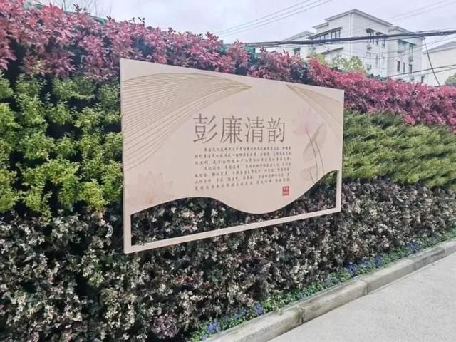 展现历史文化底蕴：走进彭浦新村街道立体绿化