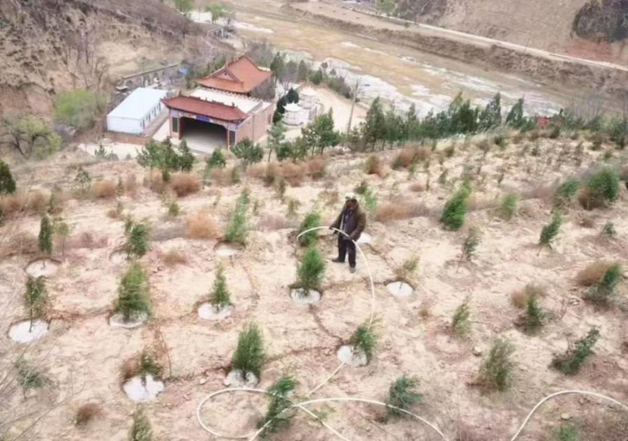 下好“生态棋” 厚植“绿底色”——水地湾扎实开展春季造林绿化和义务植树活动