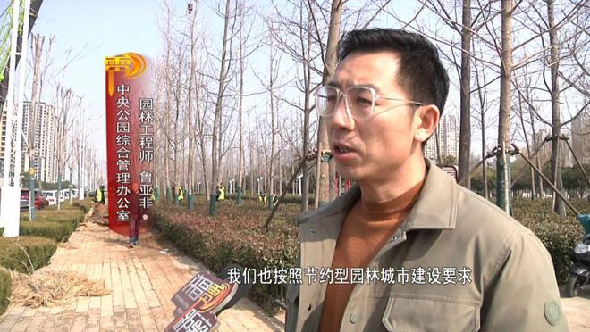 不负春日好时光 绿化造园施工忙