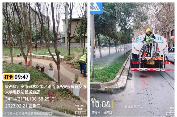 碑林区城管执法局督导检查园林绿化精细化养护工作