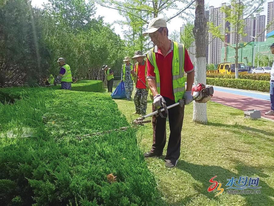网络中国节·端午|烟台园林工人端午假期用汗水浇灌绿荫