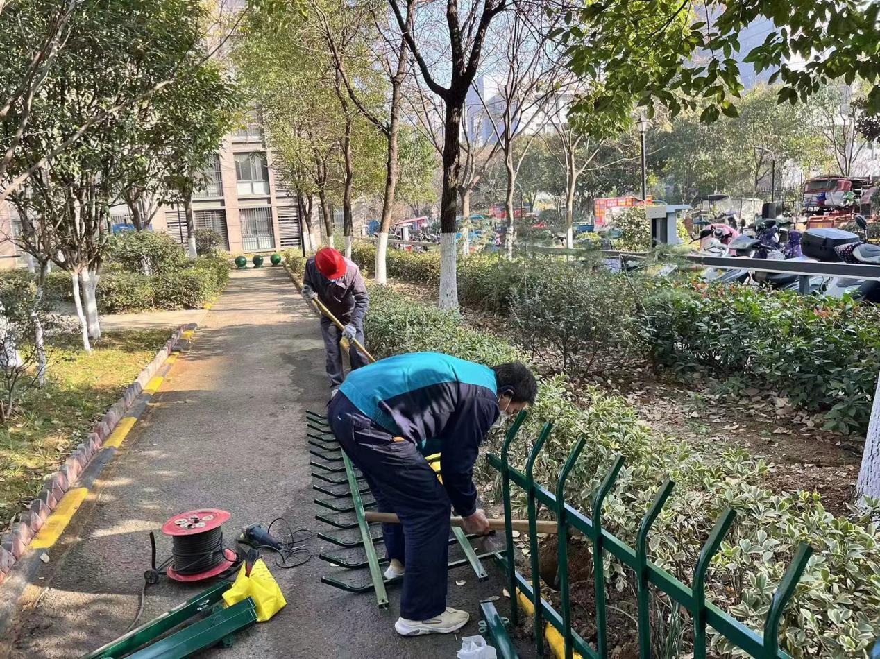 肥西柏堰科技园：绿化带穿“防护衣” 草地“伤痕”渐愈合