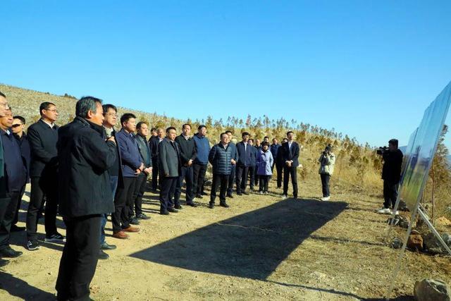 锚定目标、持续发力，济宁市荒山绿化工作现场推进会召开