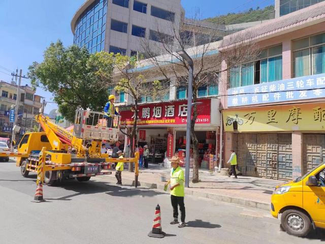 紫云县城管局：补植增绿提品质 城区绿化靓新颜