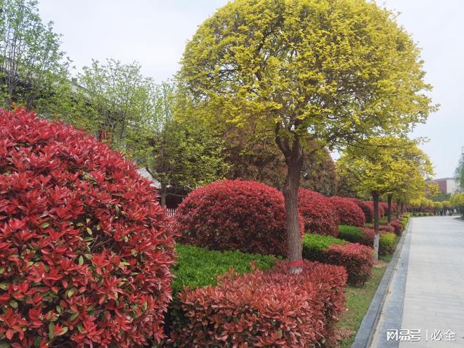 庭院植物品种栽植配置和养护管理措施