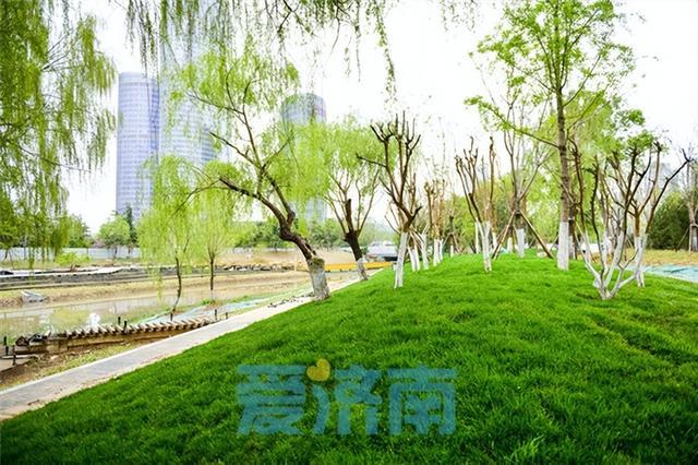 济南腊山河：新河堤景观初步显现 形成滨河生态景观廊道